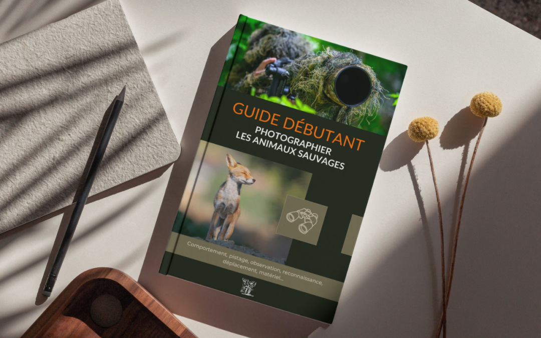 Livre photo animalière – Ebook