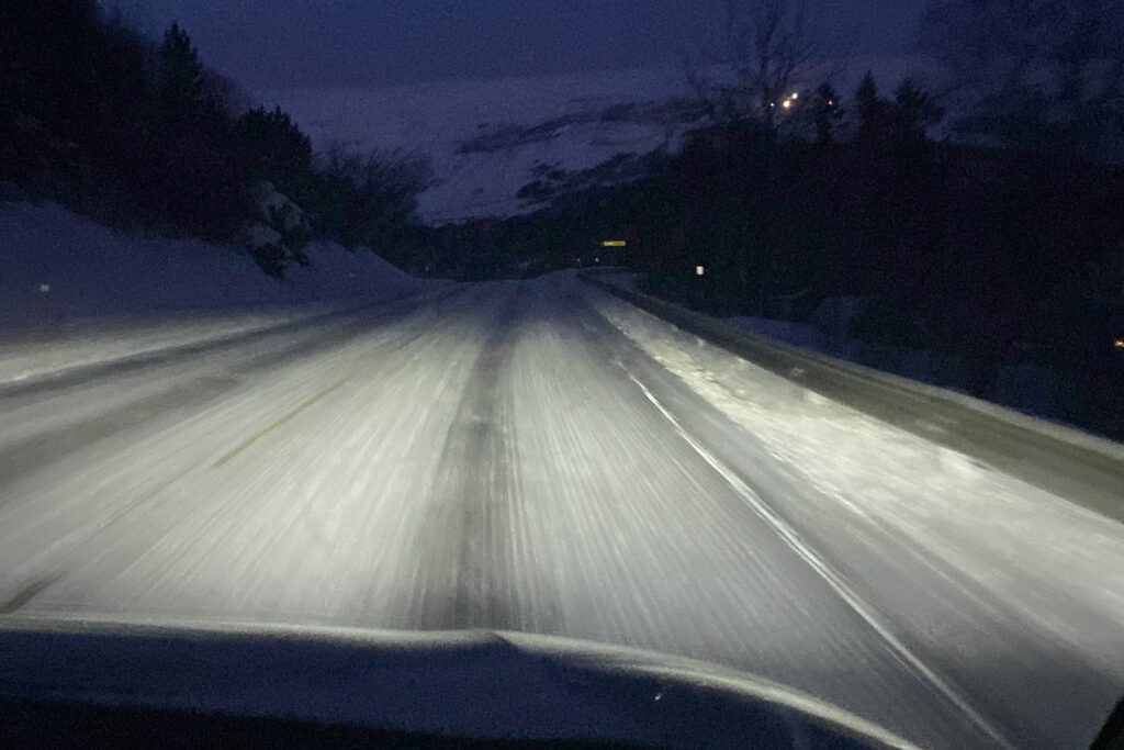 Voyage en Norvège | Sur la Piste des Bœufs Musqués