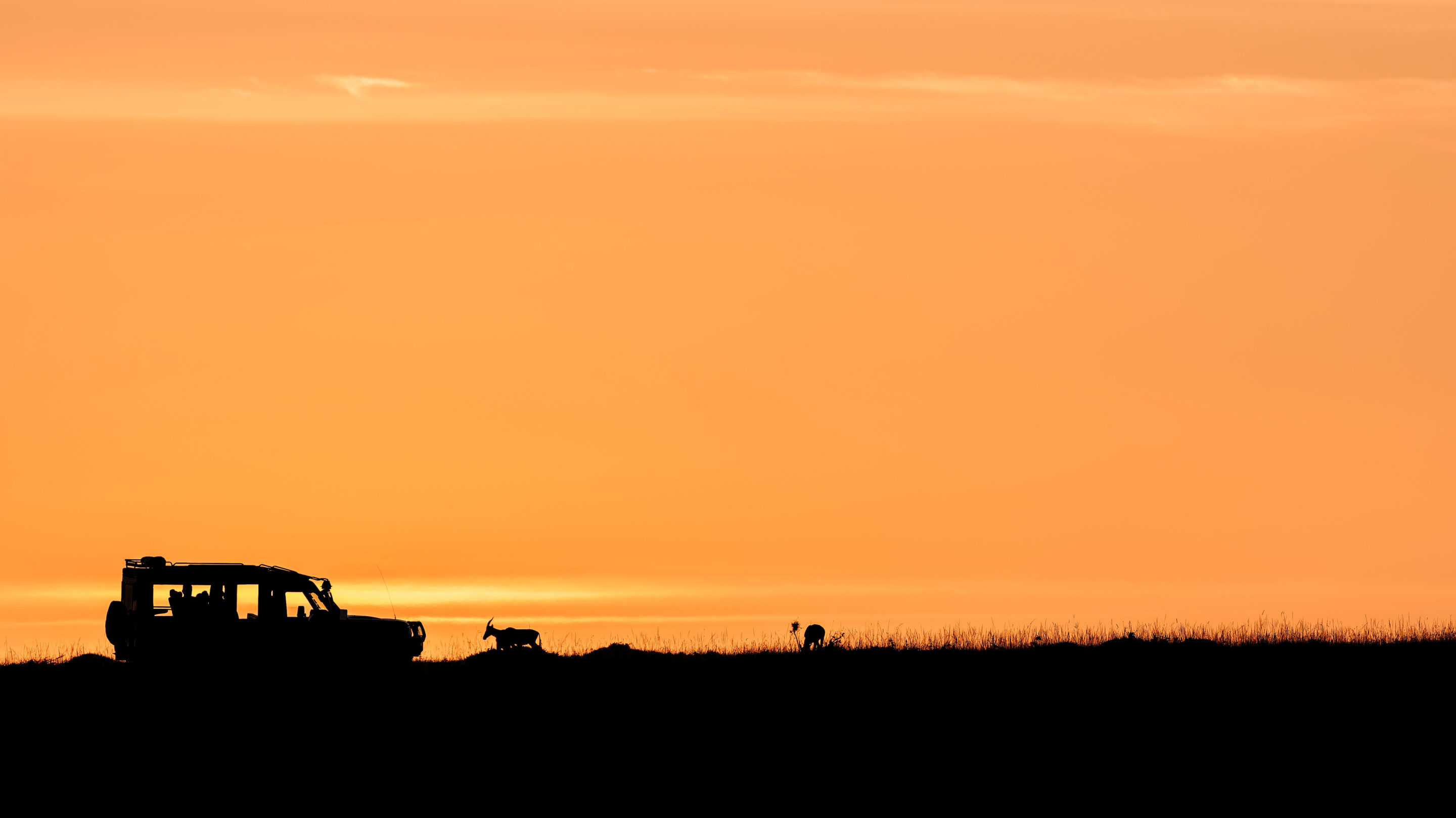 Sunrise ©Jacques Bibinet - Photographe animalier