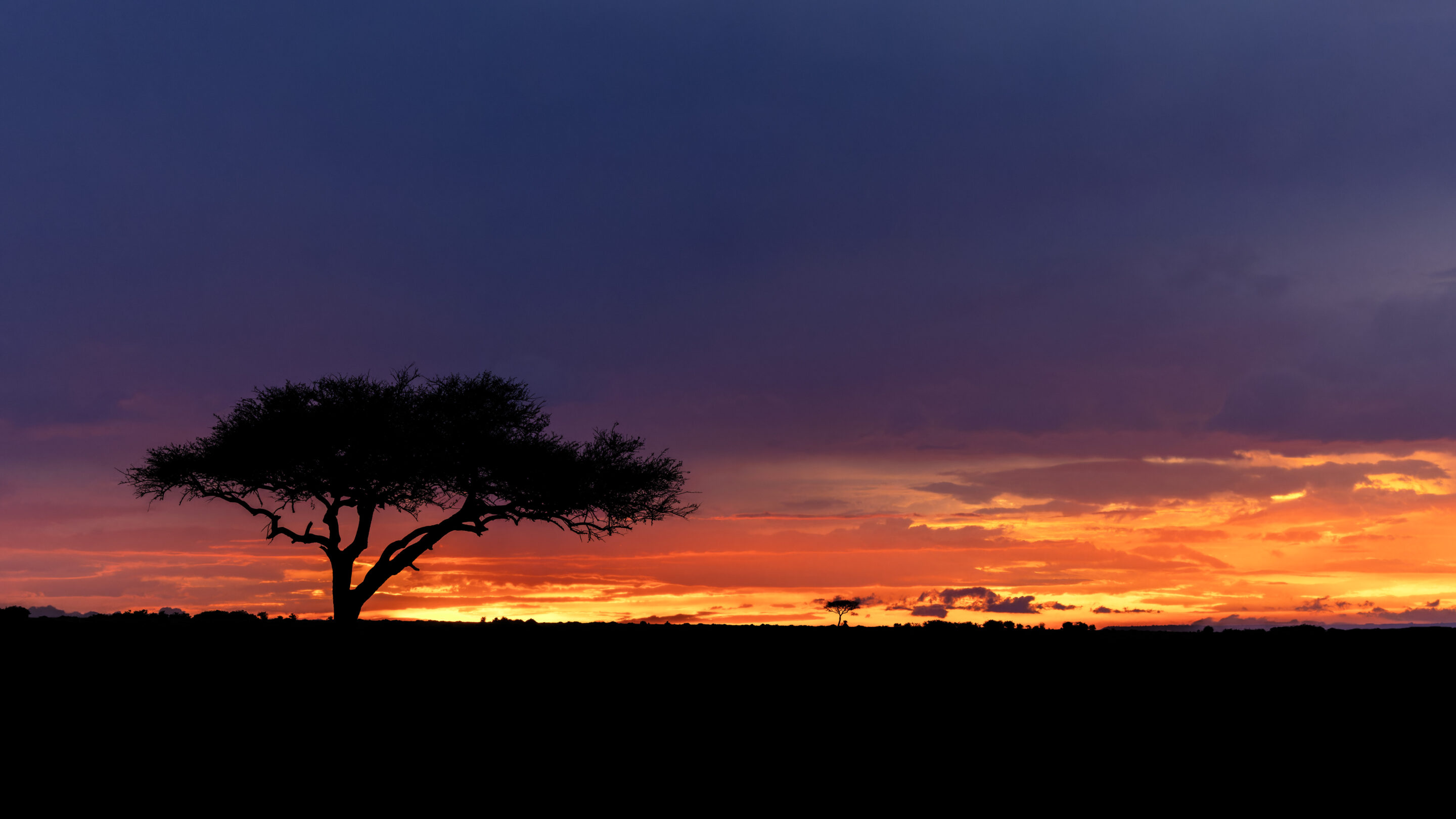Sunset ©Jacques Bibinet - Photographe animalier